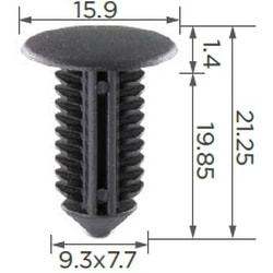 11843   ()