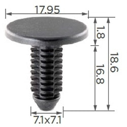 11797   ()